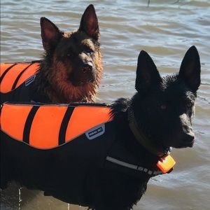 Meet your Posher, Zayna